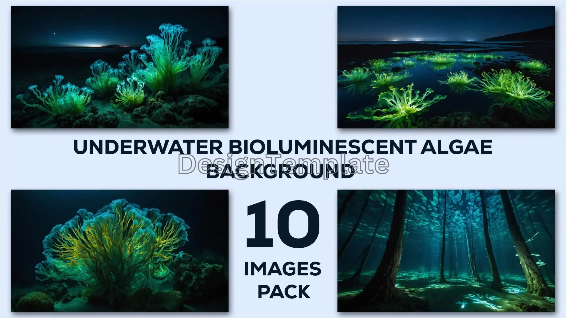 Glowing Ocean Depths Stunning Bioluminescent Algae Scenes